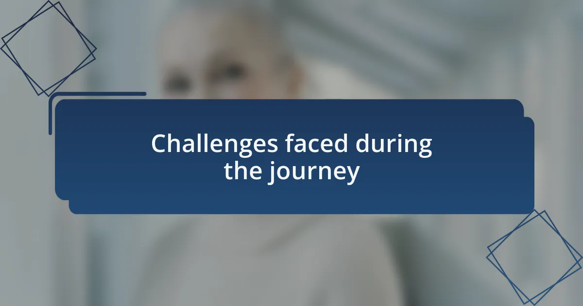 Challenges faced during the journey